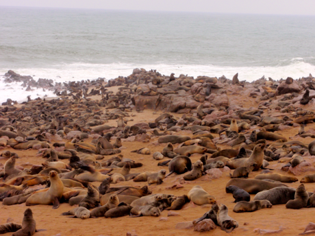 NAMIBIA POR LIBRE (10 DÍAS) swakopmund