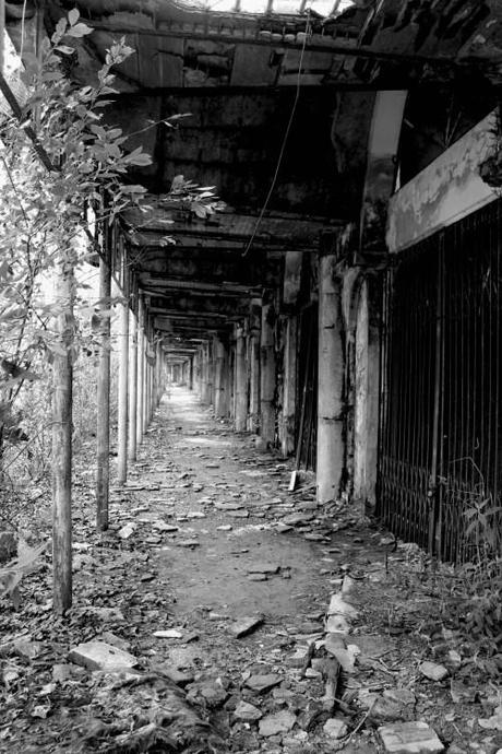 FOTOS CONSONNO: ¿Por qué nos atraerán tanto los lugares abandonados? IMG_9499 copy