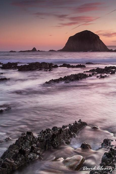 Cocodrilos de piedra Cocodrilos de piedra
