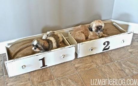5 diy perrunos paperblog DIY diseño Cortinas