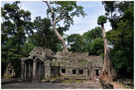 Siem Reap: Templos en la Jungla y Gastronomía Jemer