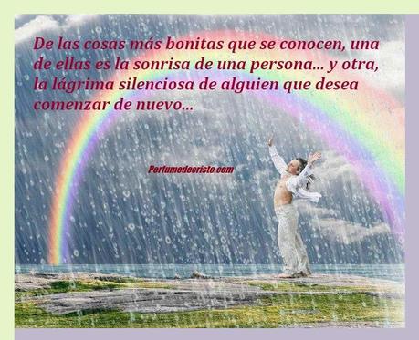 Comenzar de Nuevo en cada Día … 560213_2868733415721_1257203303_n