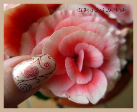 RETO PUNTOS MNA (Espirales): Espirales punteadas RETO PUNTOS MNA (Espirales): Espirales punteadas