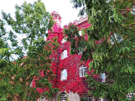 Cambridge y sus puentes