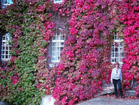 Cambridge y sus puentes