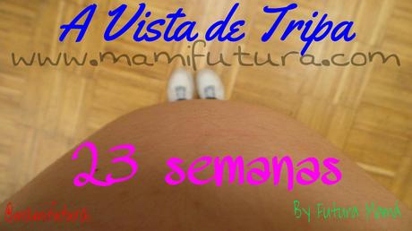 Semana a semana XIX A Vista de Tripa XIX