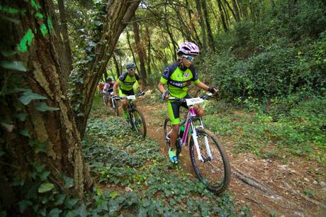 Cebrianenca 2014 . Cebrianenca 2014 .