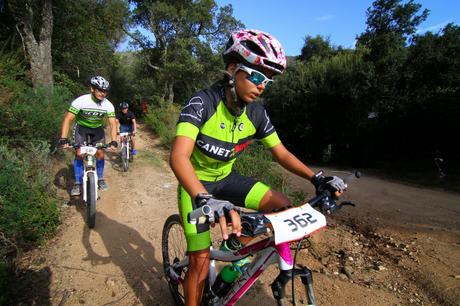 Cebrianenca 2014 . Cebrianenca 2014 .