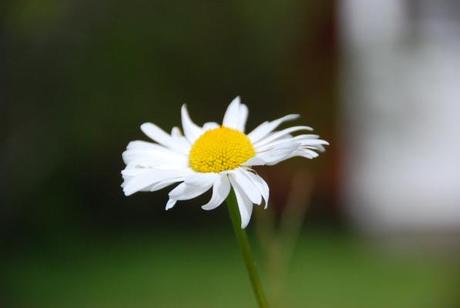 “Trata a los demás como tu quieres que te traten a ti.” Margarita