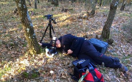 Macro 2014 VI (setas) Macro 2014 VI (setas)