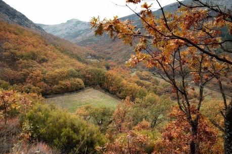 Otoño en el Valle del Jerte