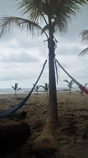 Guachaca (Colombia) - Unos días en un campamento ecológico