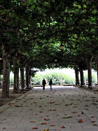 Mi “foto ganadora” del WWPW2014 en Celanova Mi foto ganadora de la caminata local #WWPW2014 #Celanova