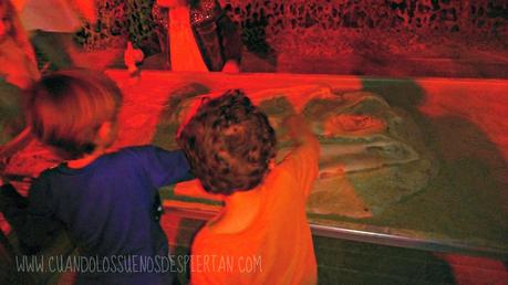 UNA TARDE VIENDO DINOSAURIOS UNA TARDE VIENDO DINOSAURIOS