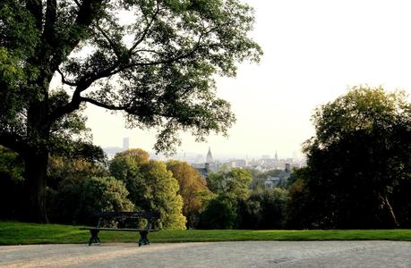 Paisaje solitario en Bruselas Javier Mateo