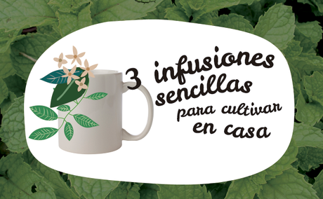 infusiones del macetohuerto