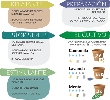 recetas de infusiones