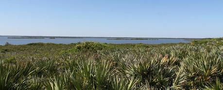 Mosquito Lagoon desde el parque nacional de Canaveral National Seashore