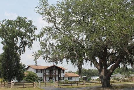 Casas en Runnymede