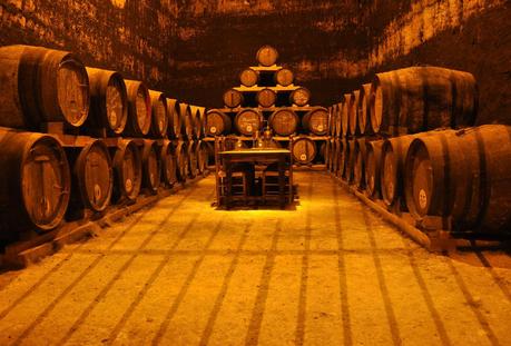 Próxima actividad: Culto al vino de La Mancha con D.O. 3 Bodega culto al vino