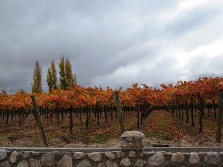 Anillaco. La Rioja. Argentina