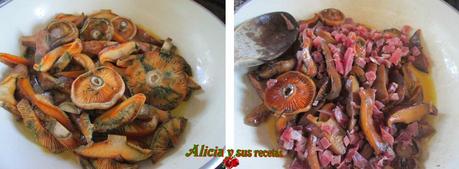 MACARRONES CON NÍSCALOS/ROBELLÓN MACARRONES CON NÍSCALOS/ROBELLÓN