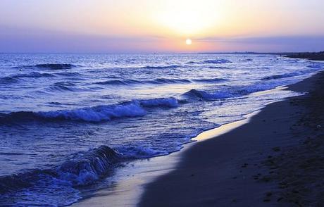 Cuestionario Anescris a Clara Asunción García Cuestionario Anescris a Clara Asunción García