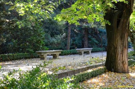 Rincones. El Real Jardín Botánico de Madrid Rincones. El Real Jardín Botánico de Madrid