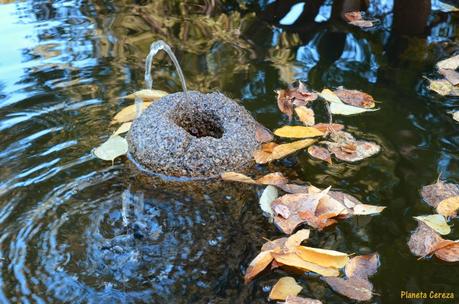Rincones. El Real Jardín Botánico de Madrid Rincones. El Real Jardín Botánico de Madrid