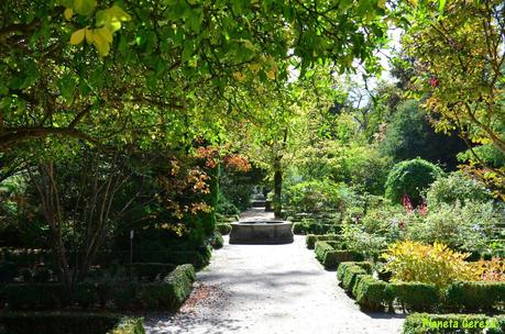 Rincones. El Real Jardín Botánico de Madrid Rincones. El Real Jardín Botánico de Madrid