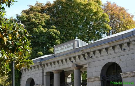 Rincones. El Real Jardín Botánico de Madrid Rincones. El Real Jardín Botánico de Madrid