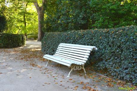 Rincones. El Real Jardín Botánico de Madrid Rincones. El Real Jardín Botánico de Madrid