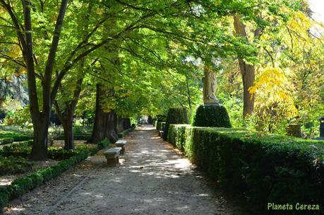 Rincones. El Real Jardín Botánico de Madrid Rincones. El Real Jardín Botánico de Madrid
