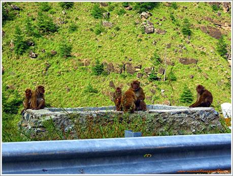 Towards Thimphu!