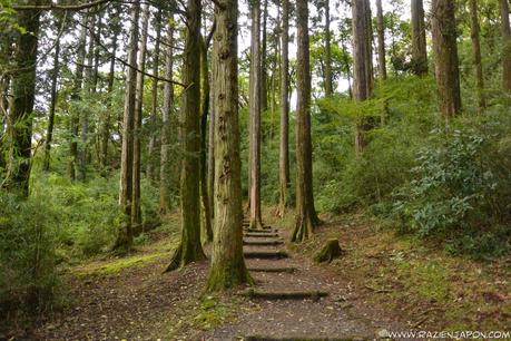 ¿Como viajar a HAKONE? Aventura amorosa parte 2