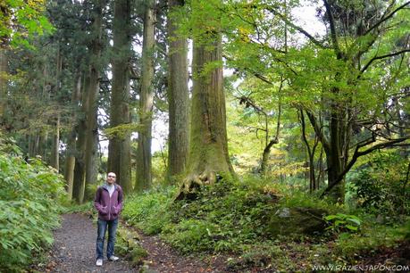 ¿Como viajar a HAKONE? Aventura amorosa parte 2