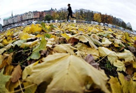 De nuevo el otoño