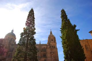 MARIQUELO. Al campanario frente al terremoto, en Salamanca