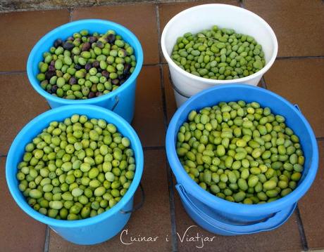 Receta casera de aceitunas (con sosa, partidas, negras enteras) Receta casera de aceitunas (con sosa, partidas, negras enteras)