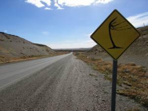 Diez consejos para rodar con viento (I) www.merkabici.es