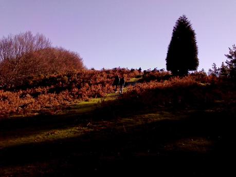 LAS COLINAS TIENEN OJOS/ THE HILLS HAVE EYES LAS COLINAS TIENEN OJOS/ THE HILLS HAVE EYES