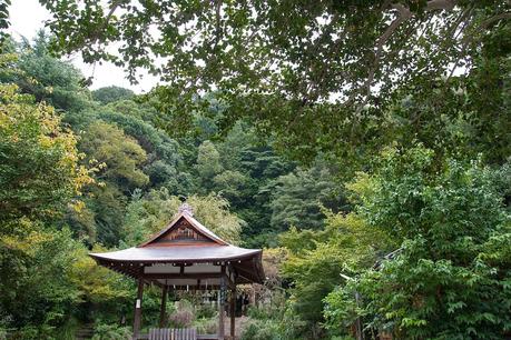 LA RUTA NIPONA: KYOTO (I) - CORAZÓN Y ESPÍRITU