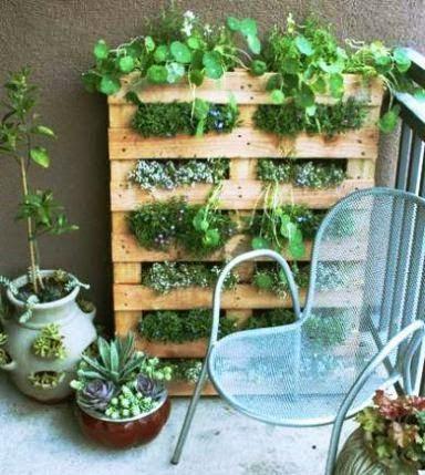 JARDIN VERTICAL JARDIN VERTICAL