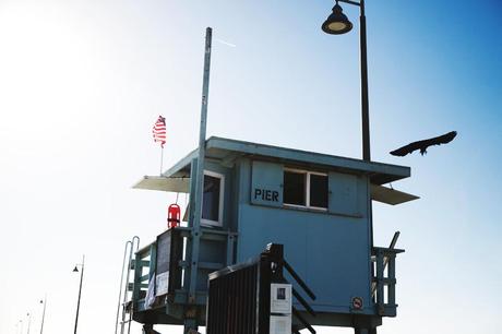 VENICE BEACH Venice_Beach-Striped_SweatShirt-Denim_Skirt-Revolve_Clothing-Outfit-Street_Style-44