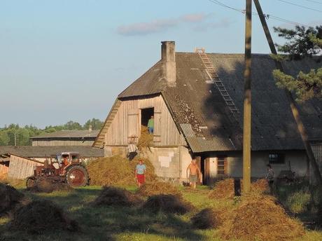 Viaje a ninguna parte. Letonia off-road. Guardando el heno en el granero para el invierno. Típica granja de estas tierras.