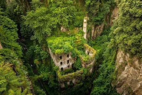 La Naturaleza ocupa lugares abandonados