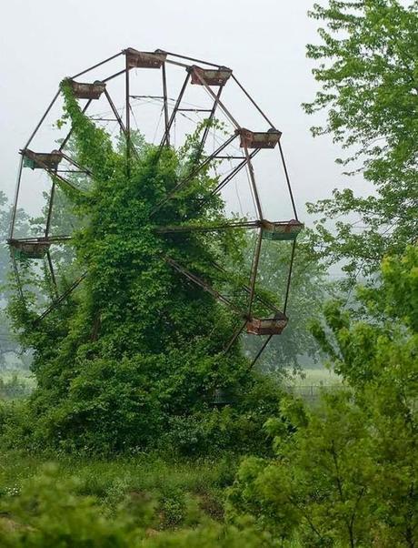 La Naturaleza ocupa lugares abandonados