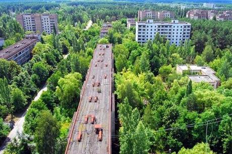 La Naturaleza ocupa lugares abandonados