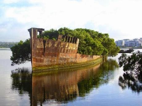 La Naturaleza ocupa lugares abandonados