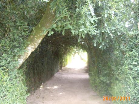 una mente sana y equilibrada una mente sana y equilibrada